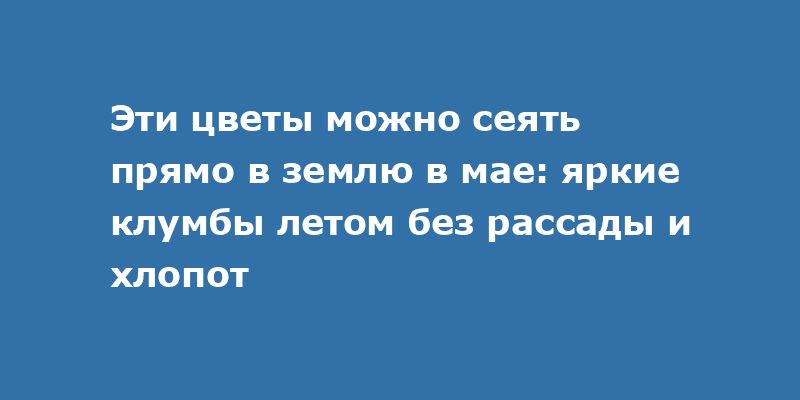 Майские цветы для солнечных клумб: как без рассады создать яркий сад Майские цветы для солнечных клумб: как без рассады создать яркий сад