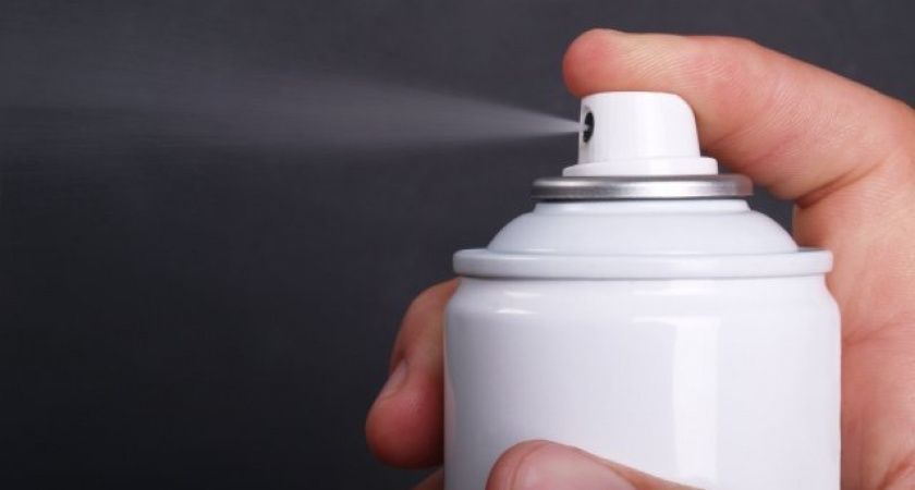 Тараканам конец: древняя ловушка, которая работает лучше магазинных средств Тараканам конец: древняя ловушка, которая работает лучше магазинных средств