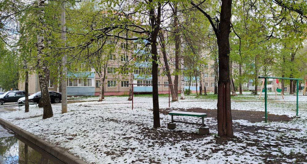 Черемуховые заморозки: что ждёт Центральную Россию в мае? Черемуховые заморозки: что ждёт Центральную Россию в мае?