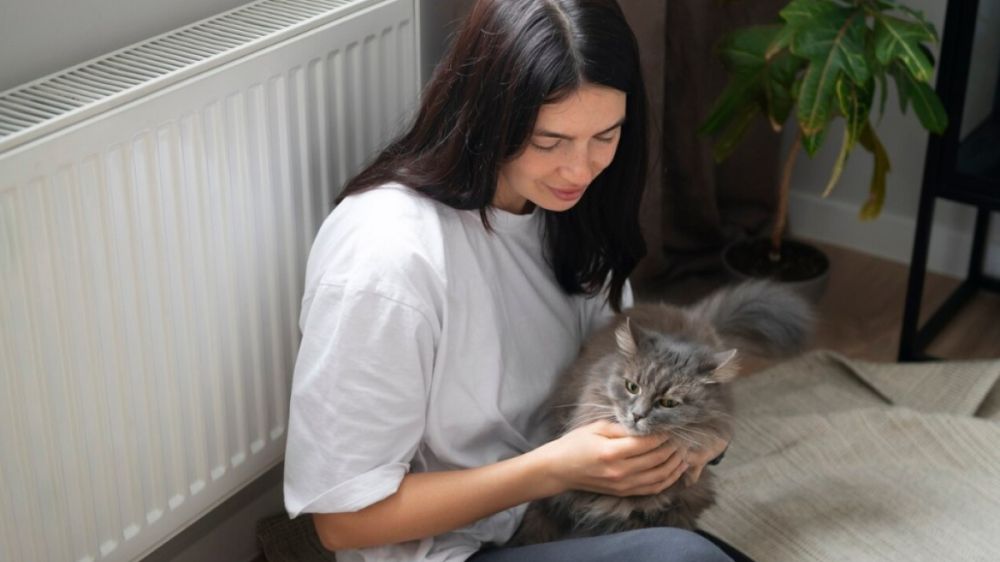 Тайны кошачьего одиночества: что делают коты, когда хозяева уходят Тайны кошачьего одиночества: что делают коты, когда хозяева уходят