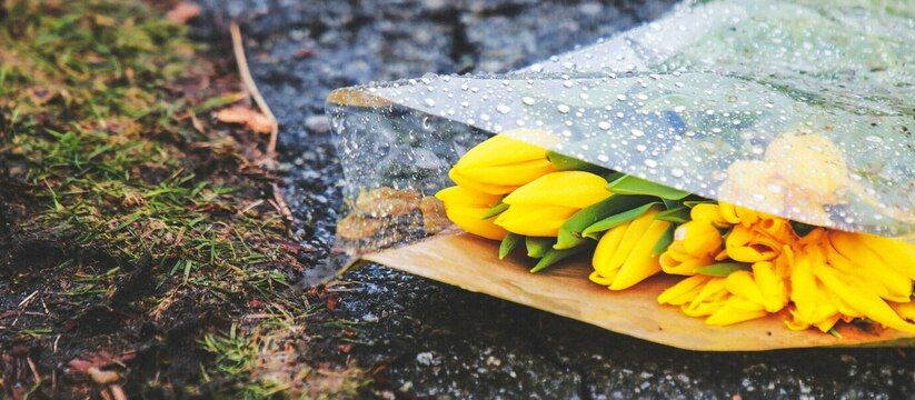Самарскую область ждёт затяжной дождливый период Самарскую область ждёт затяжной дождливый период