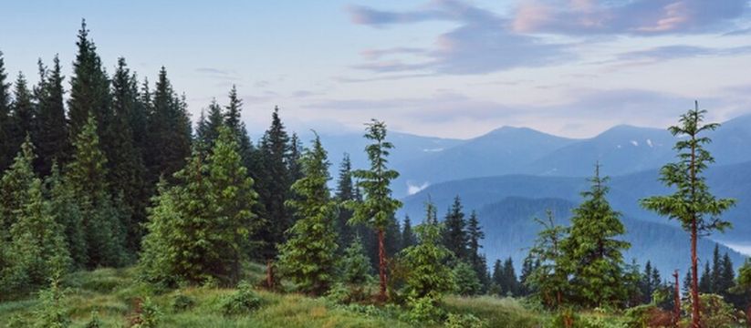 Климатические перемены: что ждёт Сибирь и тропики в будущем Климатические перемены: что ждёт Сибирь и тропики в будущем