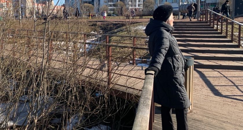 Пенсионеры в восторге: с июня выплаты увеличатся для многих категорий Пенсионеры в восторге: с июня выплаты увеличатся для многих категорий