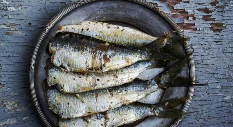 Секрет сугудая: как приготовить вкусную скумбрию по-северному Секрет сугудая: как приготовить вкусную скумбрию по-северному