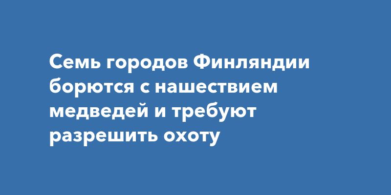 Медведи в Финляндии: семь городов требуют разрешить охоту Медведи в Финляндии: семь городов требуют разрешить охоту