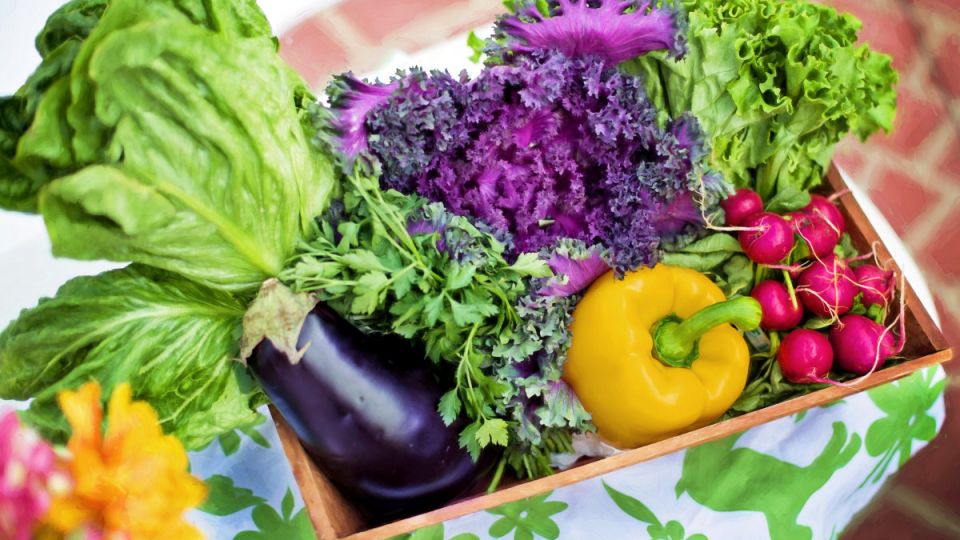 Пять продуктов для здоровья и молодости после 60 Пять продуктов для здоровья и молодости после 60