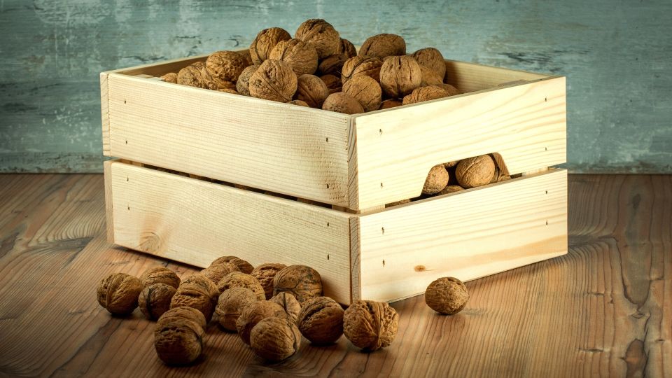 Почему хранение орехов в шкафу – это худшая идея для ваших кулинарных шедевров Почему хранение орехов в шкафу – это худшая идея для ваших кулинарных шедевров
