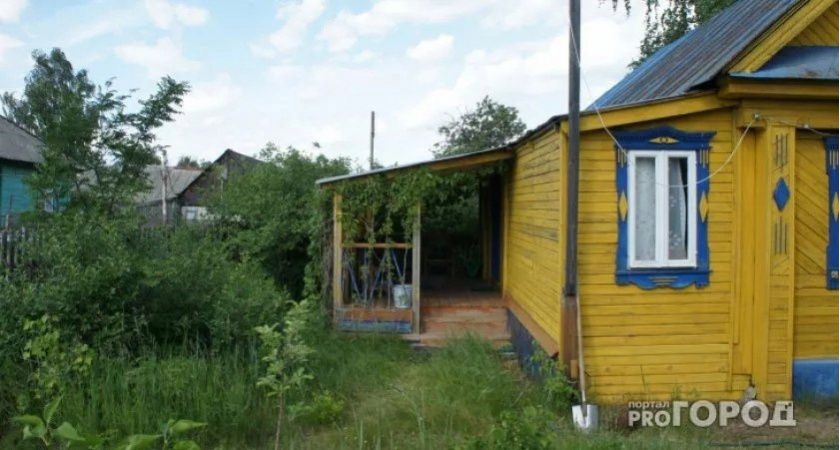 Клён ясенелистный: почему это дерево может стать проблемой для вашего сада Клён ясенелистный: почему это дерево может стать проблемой для вашего сада