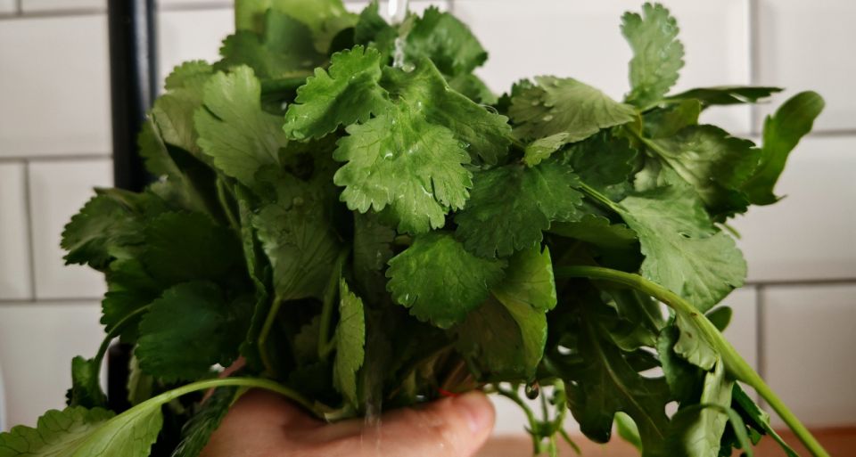Как сохранить вкус лета: ароматная приправа из укропа, петрушки и чеснока Как сохранить вкус лета: ароматная приправа из укропа, петрушки и чеснока