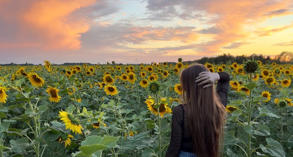 Финансовый успех под звёздами: какие знаки зодиака ждёт денежный поток в июне Финансовый успех под звёздами: какие знаки зодиака ждёт денежный поток в июне