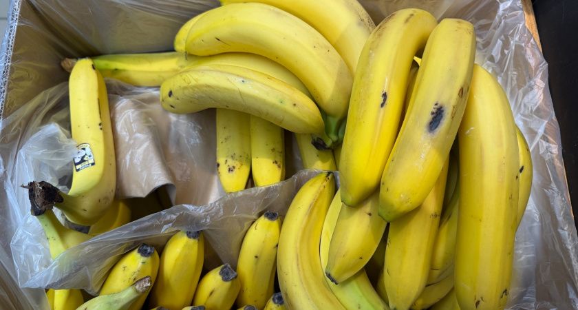Как во Франции здоровое питание становится роскошью Как во Франции здоровое питание становится роскошью