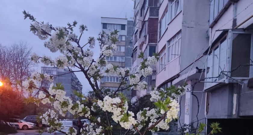 Лето-2025: как подготовиться к затяжной жаре Лето-2025: как подготовиться к затяжной жаре