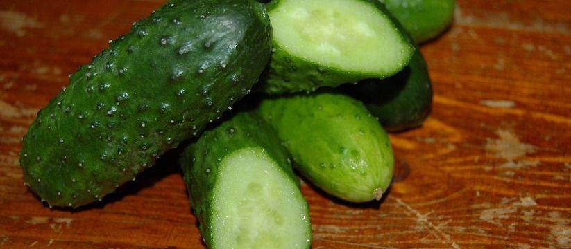 Секрет здоровых и сочных огурцов: как соль может спасти урожай