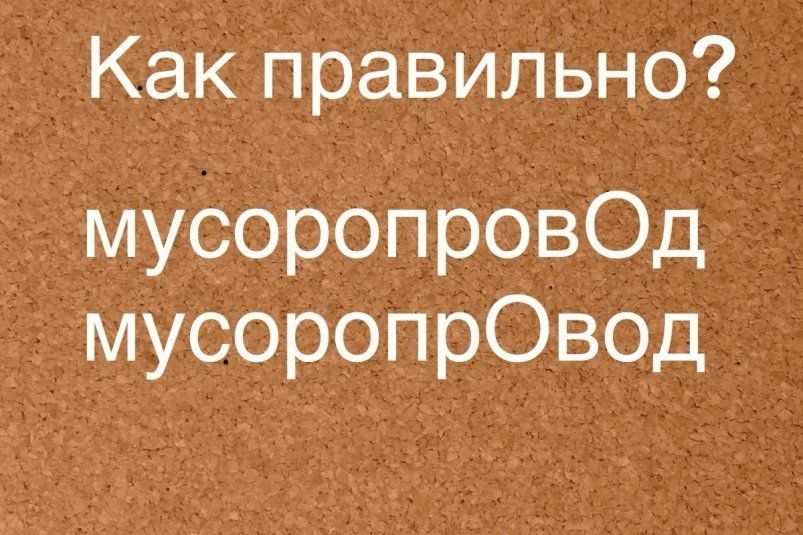 Ошибки в ударении: прокачайте свои знания о 'мусоропроводе'