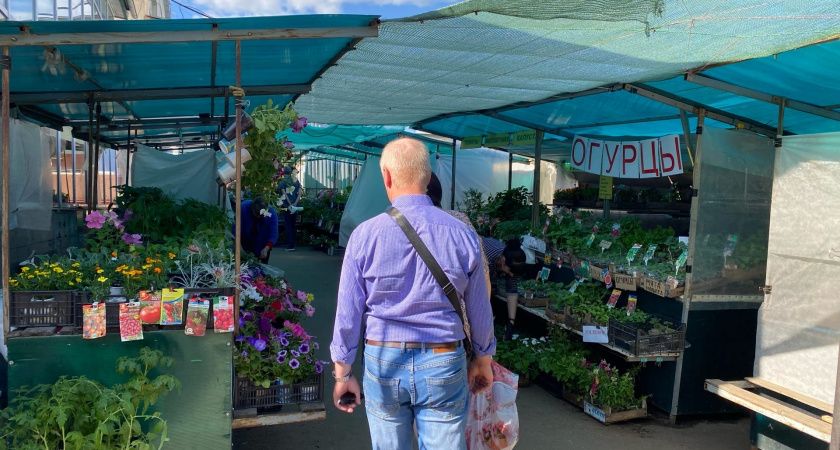 Две пенсии: кто может получать одновременно?