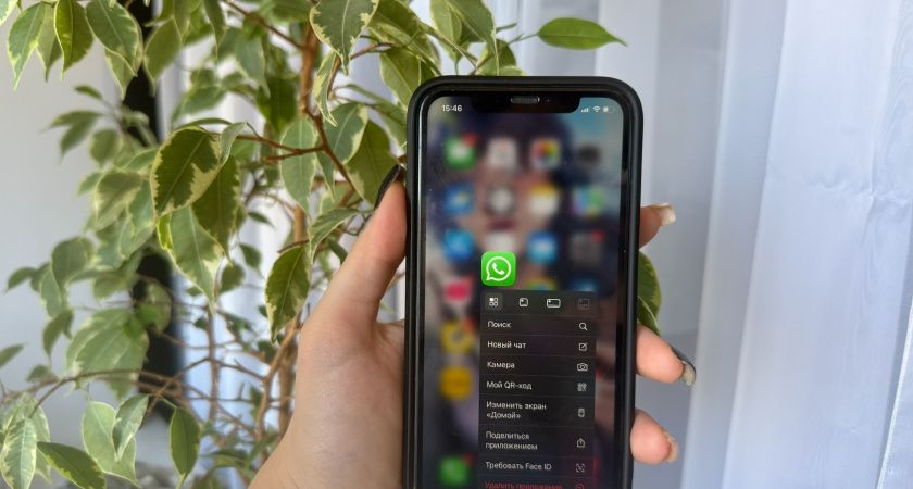 WhatsApp    :     ?