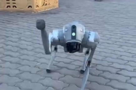 -   -