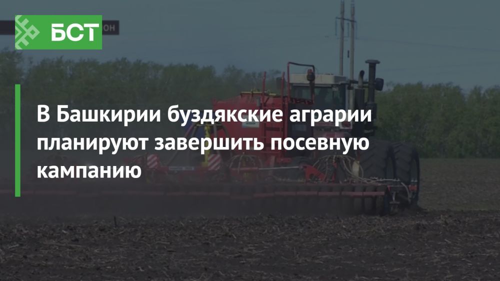 Буздякские аграрии на финишной прямой посевной кампании Буздякские аграрии на финишной прямой посевной кампании