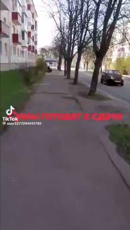   :     -  