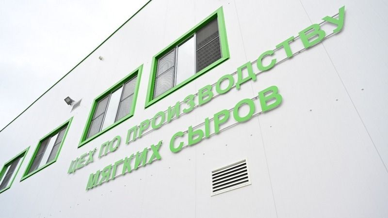 Яркое открытие: в Башкирии начало производство мягких сыров Яркое открытие: в Башкирии начало производство мягких сыров