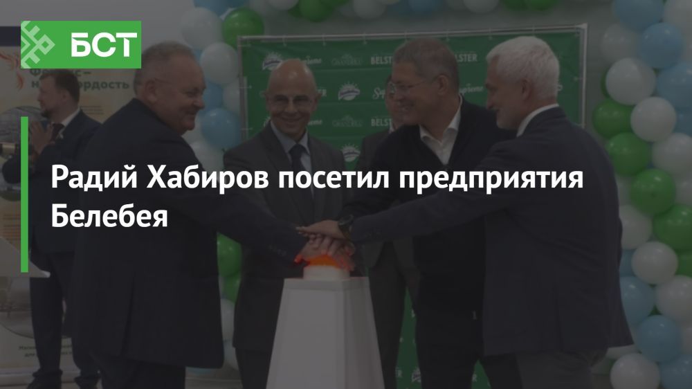 Сыры с белой плесенью появятся в Башкортостане Сыры с белой плесенью появятся в Башкортостане