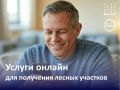 Предприниматели Башкирии смогут оформить лесные участки онлайн