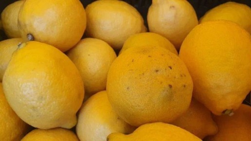 Как сохранить домашний лимон здоровым: советы по борьбе с болезнями и вредителями