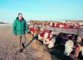 Молочная революция: аграрии нацелились на резкий рост производства молока