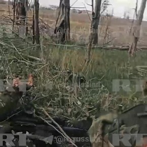 Испытания на грани: боец Велес рассказывает о трагической судьбе своего друга