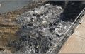 В Башкортостане запустили рыб для очистки водохранилища и улучшения экологии