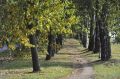 Леса Башкирии закрыты: строгие меры из-за лесных пожаров