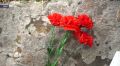 В ЛНР почтили память генерала Шаймуратова и башкирских кавалеристов