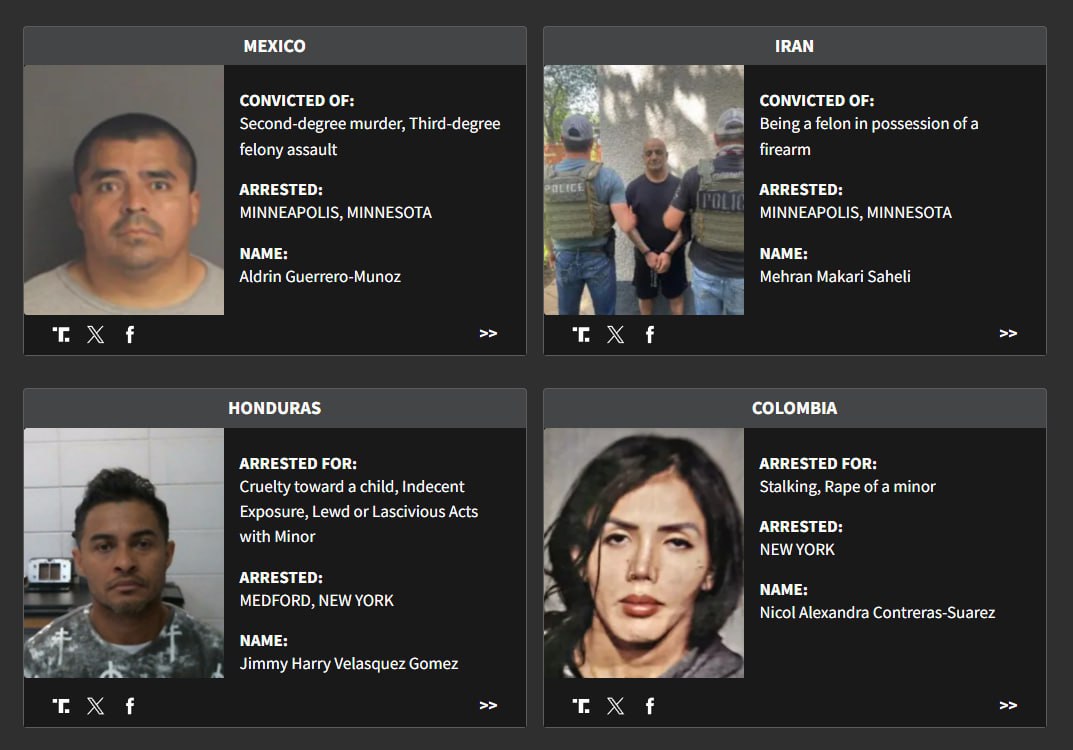 Андрей Медведев: Опыт передовых демократий. Можно было бы перенять