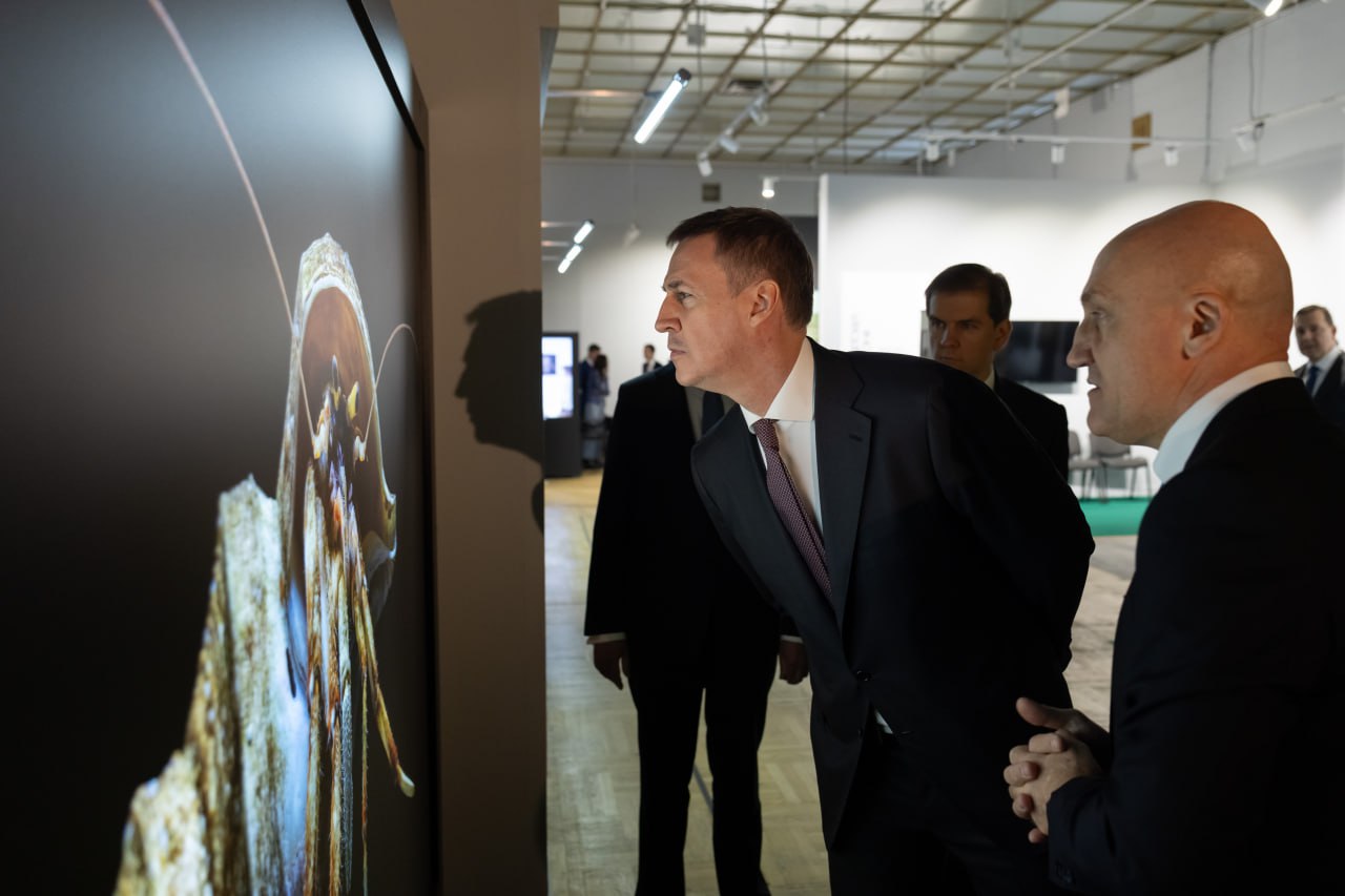 Дмитрий Патрушев встретился с победителями первого конкурса грантов Президентского фонда природы Дмитрий Патрушев встретился с победителями первого конкурса грантов Президентского фонда природы