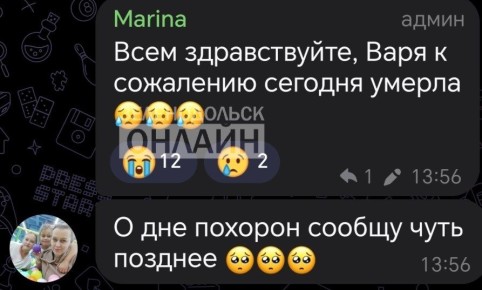 Андрей Медведев: Умерла Варя Блохина, девочка, которую в Зеленодольске покусали бродячие собаки