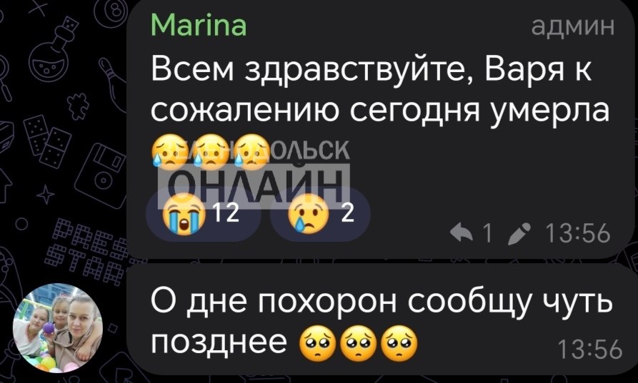 Андрей Медведев: Умерла Варя Блохина, девочка, которую в Зеленодольске покусали бродячие собаки