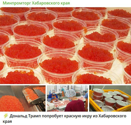 Икорная дипломатия. Уиткофф отвёз Трампу ящик красной икры из России